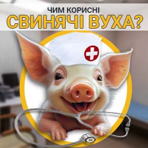 Фото з посиланням на статтю Чим корисні свинячі вуха