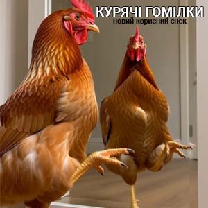 Фото з посилання на статтю про курячі гомілки купити