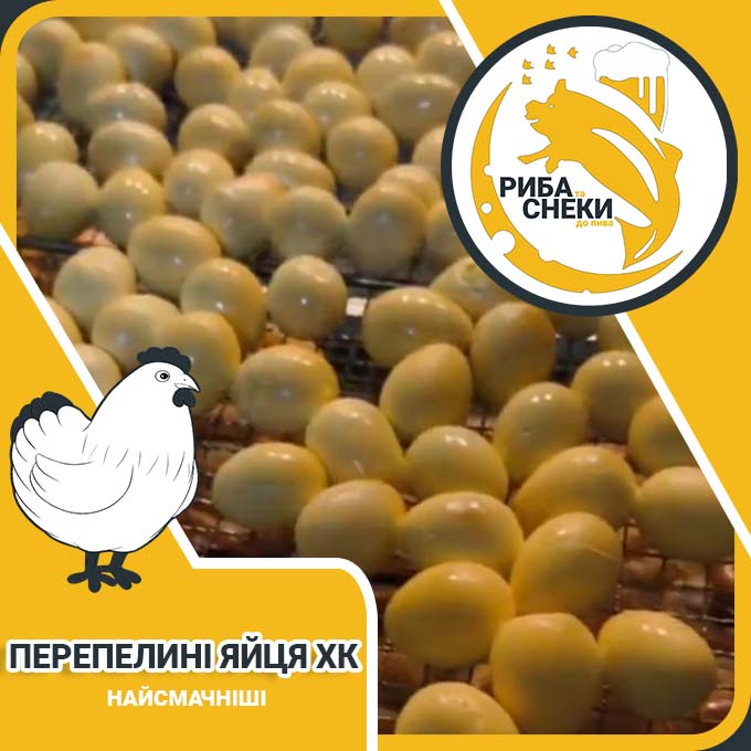 Фото товару перепелині яйця хк