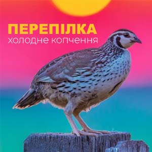 Фото з посиланням на статтю про Перепілку Хк та Перепелині Яйця ХК